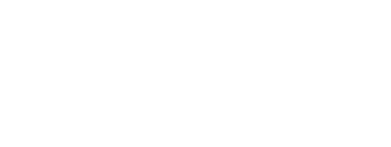 ПРОБА // WORDPRESS // PROBE